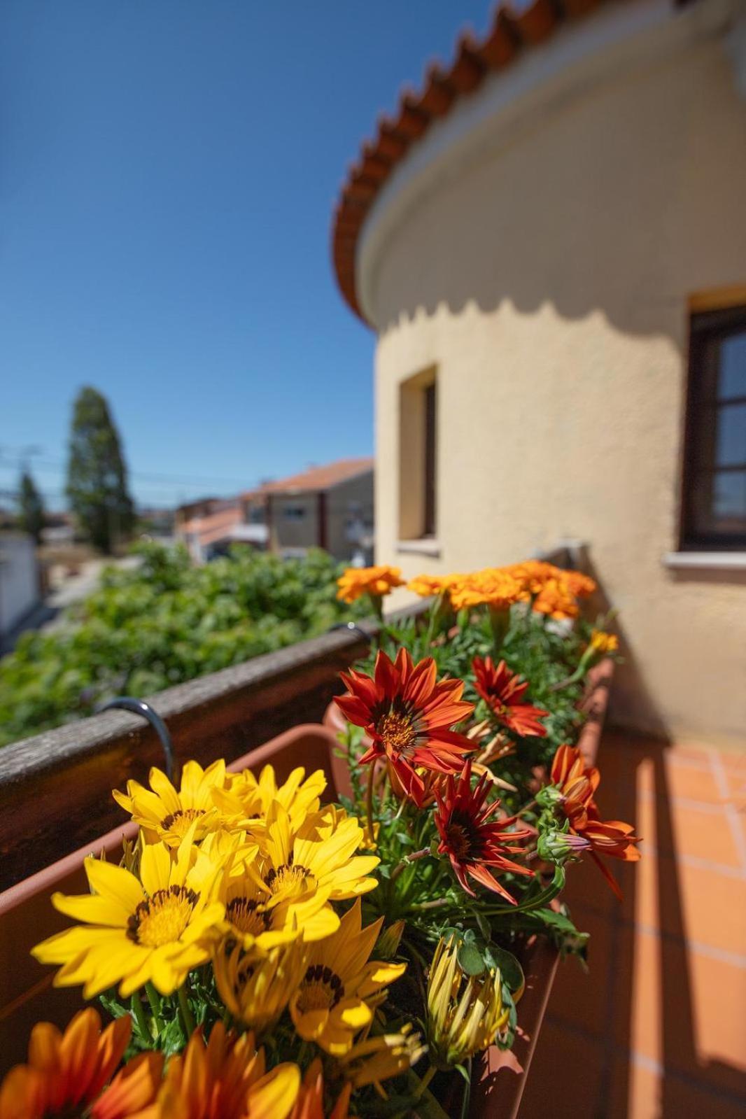Villa Salgado Gafanha da Nazaré Kültér fotó